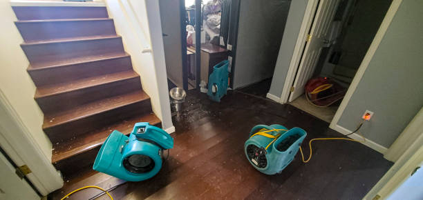 Best Basement water damage restoration  in Phoenix, NY