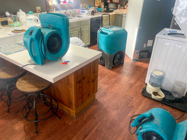 Best Mold removal after water damage  in Phoenix, NY