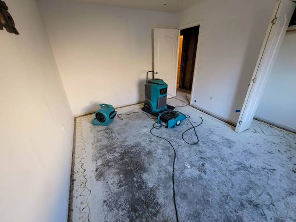 Best 24-hour water damage restoration  in Phoenix, NY