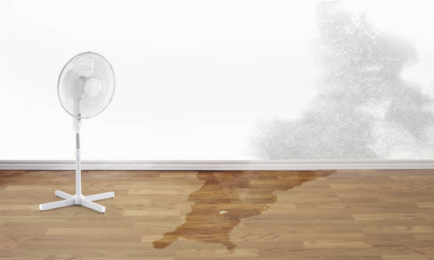Best Water damage restoration experts  in Phoenix, NY