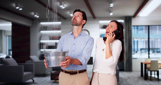 Best Ceiling water damage repair  in Phoenix, NY