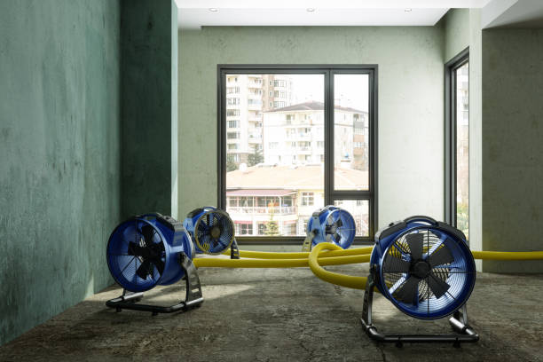 Best Professional water damage repair  in Phoenix, NY